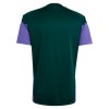 Camiseta De Entrenamiento Arabia Saudita Mundial 2026 Verde - Hombre