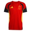 Camiseta De Entrenamiento Bélgica Mundial 2026 Roja - Hombre
