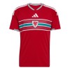Camiseta de fútbol Gales Primera Equipación Mundial 2026 - Hombre