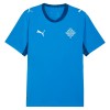 Camiseta de fútbol Islandia Primera Equipación Mundial 2026 - Hombre