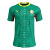 Camiseta de fútbol Senegal Segunda Equipación Mundial 2026 - Hombre