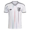 Camiseta de fútbol Japón Segunda Equipación Mundial 2026 - Hombre