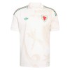 Camiseta de fútbol Gales Segunda Equipación Mundial 2026 - Hombre Camiseta de fútbol Gales Segunda Equipación Mundial 2026 - Hombre