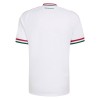 Camiseta de fútbol Hungría Segunda Equipación Mundial 2026 - Hombre