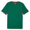 Camiseta de fútbol Senegal Segunda Equipación Mundial 2026 - Hombre