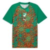 Camiseta de fútbol Costa De Marfil Pre-Match Mundial 2026 - Hombre