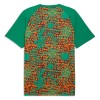 Camiseta de fútbol Costa De Marfil Pre-Match Mundial 2026 - Hombre