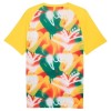 Camiseta de fútbol Senegal Pre-Match Mundial 2026 - Hombre