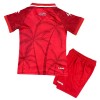 Conjunto Haiti Tercera Equipación Mundial 2026 - Niño