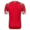 Camiseta de fútbol Túnez Segunda Equipación Mundial 2026 - Hombre