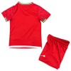Conjunto Irán Segunda Equipación Mundial 2026 - Niño