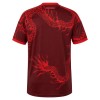 Camiseta de fútbol Internacional Tercera Equipación 2026-27 - Hombre