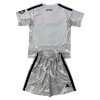 Conjunto Portero Real Madrid 2026-27 Gris - Niño