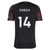 Conjunto Liverpool Chiesa 14 Tercera Equipación 2026-27 - Niño